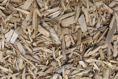 biomass boilers Chetwode